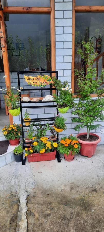 God'S Land Bed & Breakfast Manali  Luaran gambar